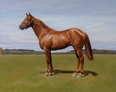 Potro de Emma Kennaway